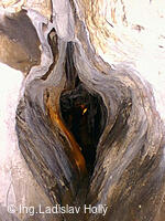 Jeskyně Na Špičáku