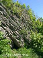 Hrad Starý Jičín 2004-05-21