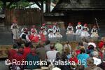 Mezinárodní armádní festival Rožnovská Valaška