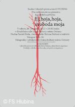 Hlubina, folklorní soubor