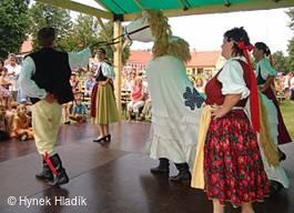 Libín - S, folklorní sdružení